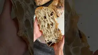 This olive ciabatta recipe will blow your mind ( recipe in description)