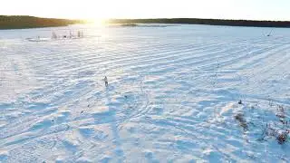 Aerial view on man walking in taiga or snow field. Footage. Siberia, Endless Taiga. A man skiing