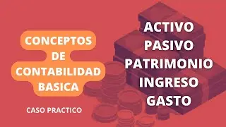 Concepto de contabilidad básica, activos, pasivos, patrimonio, ingresos y gastos