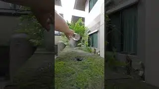 Make cinematic video with mobile phone #behindthescenes #broll #iphonefilmmaking