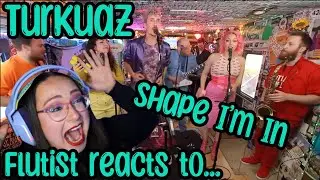 Flute Teacher has a RELIGIOUS experience | Turkuaz, The Shape I'm In