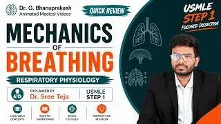 3. Механика дыхания, вдоха и выдоха 🫁 Физиология дыхания USMLE Step 1