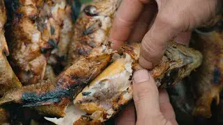 【ENG SUB】鄉野下飯魂丨Countryside Grastronomy EP01 在自然中享受自然帶來的食物&mdash;&mdash;黃岡野餐