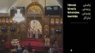 Virgin Mary Coptic Orthodox Church Montreal Live Stream