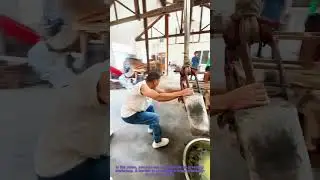 How Ancient Oil Pressing Works | Traditional Technique