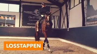 Losstappen met Britt en Eve | PaardenpraatTV