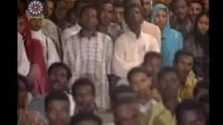 مصطفى سند