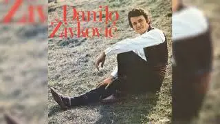 DANILO ŽIVKOVIĆ - DRUGAR MI SE ŽENI NANE