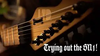 Playing Metal on a LTD - SN1 with EMG 81