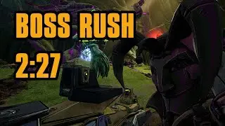 Punchbot vs Chaos 50 Boss Rush in 2:27 | Tiny Tina's Wonderlands
