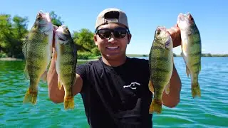 Fall Fishing For JUMBO PERCH! (Catch Clean Cook)