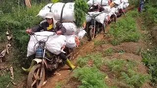crush TONTON SAMPAI SELESAI. MOTOR GUNUNG CRUSH ( TERJATUH ) 🙏