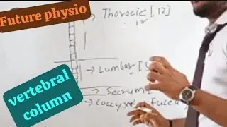 vertebral column. #spine #futurephysio #physiotherapy #knowledge