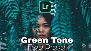 Free Green Tone Preset For Lightroom Mobile | Green Tone Preset | Free Lightroom cc Preset