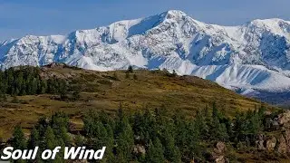 Country music - young wings - Siranush Iuliu - Scenic Relaxation - TuneOne Music - Soul of Wind