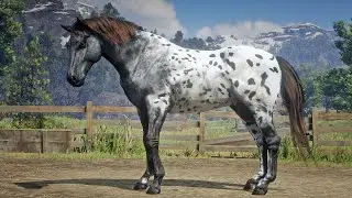 John Marston Tames Charles’s Beautiful Horse at Valentine | RDR2