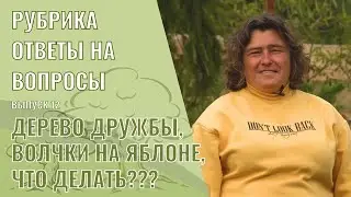 Ответы на вопросы Выпуск 12