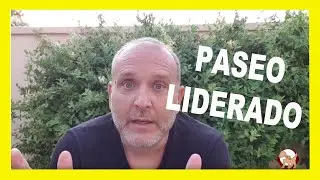 😍PASEA a tu perro SIN tirones-----FUNCIONA!!!!!---PASEO LIDERADO