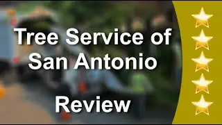 Tree Service of San Antonio Reviews - 5 Stars for Tree Removal in San Antonio, Texas