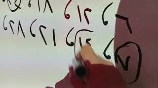 المضاعفات والمربعات صف خامس 