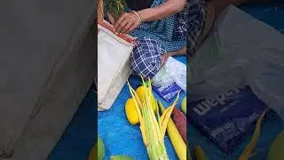 #vegetables #struggle #organicfarming #tribal #bodo #garo #kashi #india