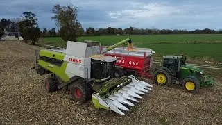 Moisson de ma&iuml;s 🌽 2025 en Normandie 🇨🇵