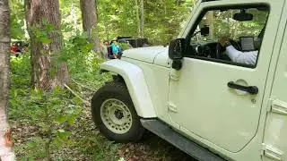 Slight detour around a fallen tree - Jeep Trip through Yellowwood State Forest