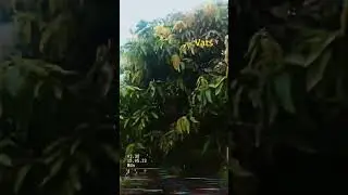 #garden #tree #minecraft #nature #mango #travelvlog #love #fastday #fasting #long