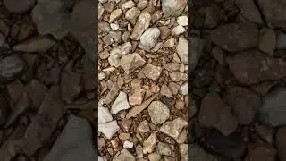 1 28 20 creek find