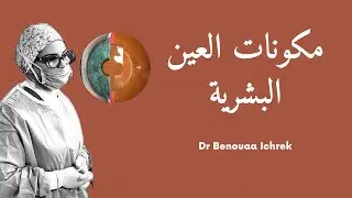 تعرف على مكونات العين في ثلاثة دقائق - eye anatomy in 3 minutes -