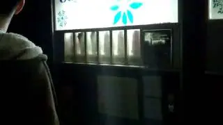 Worlds Fastest Pop Machine Lerna Illinois