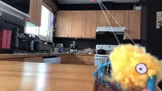 Chickadee chickadoo