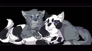 Warrior Cats A Vision of Shadows Trailer