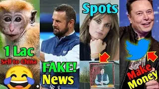 Simon Duoll Reply - Jemima Spots Imran Khan - Elon Musk Reveals Users Can Earn on Twitter & More...