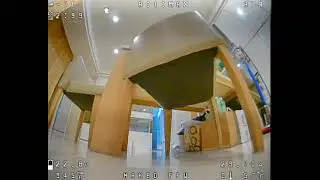 Unleashing Analog Magic High Dynamic Range and Caddx Ratel 2 FPV Camera 2
