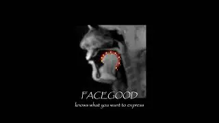 FACEGOOD knows what you want to express