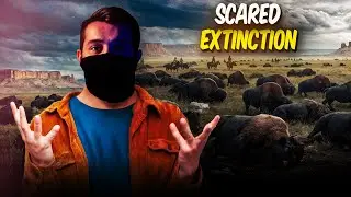 The Secret War on Bison: How the U.S. Military Erased an American Icon 🦬💀