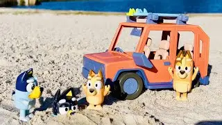 Bingo & Bluey beach adventure