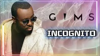 INCOGNITO - GIMS ( Lyrics )