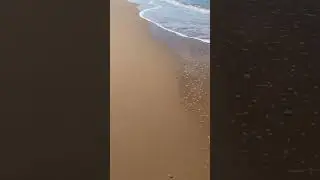 #sicilia #sicily #shortsyoutube #live #sea #sealife #sealifespectacle