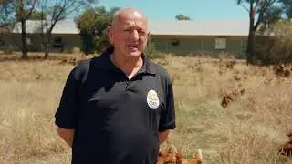 Lucky Chicken Eggs x EnergyAustralia: Sustainable Chicken Welfare [Part 3]