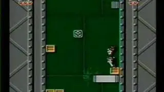 Chip and Dale NES 1 - Level F
