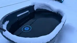 Did the Horses survive the snowstorm in NC?