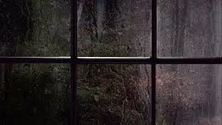 Cozy Room Ambience: Rain on Window, Foggy Forest View for Stress Relief