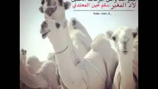حنا عتيبه كل عام منافسين