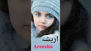 Areesha Name Meaning In Urdu (Girl Name اریشہ) | #trendingname ##areesha #islamicbabygirlnames