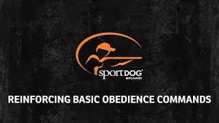 Chris Akin - Reinforcing Basic Obedience Commands - www.sportdog.com
