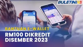 EKONOMI MADANI |&nbsp;Bantuan E-Wallet RM100 Disalurkan Disember Ini - Steven Sim
