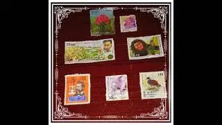 Stamp collection 