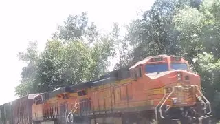 The PNW Trains Archives